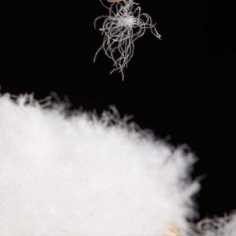 Picture of National Standard 90 White Goose Down Pure White Guangjian Wholesale Clothing Quilt Filling High Fluffiness High Cleanliness Factory Direct Sales