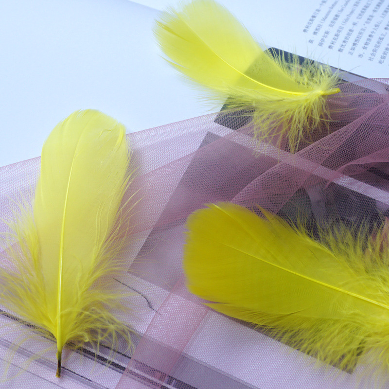 Picture of Macaron color feather decoration goose feather large and medium floating dream catcher gift box filled bouquet diy handmade material
