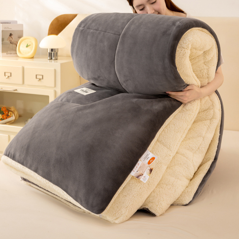 Picture of Lamb Velvet Quilt Winter Quilt Milk Velvet Coral Velvet Spring & Fall Quilt Student Dormitory Single Quilt Quilt Core Does Not Shed Lint