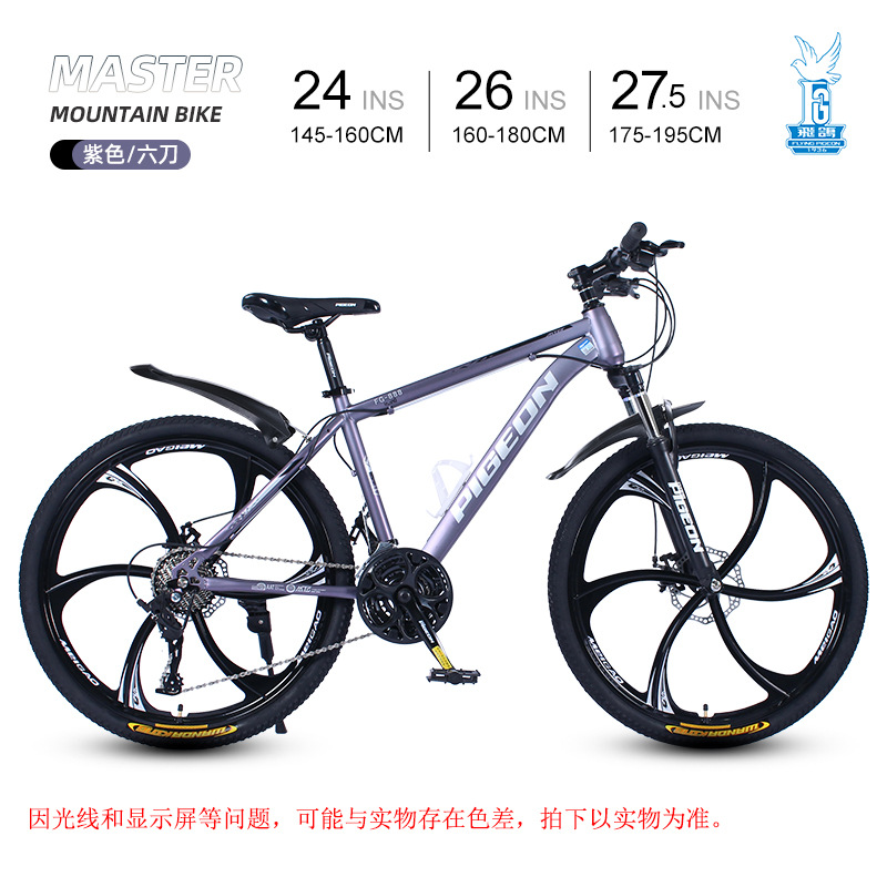 Picture of Flying Pigeon Bike Men's Cross-country Variable Speed Mountain Bike 24 Inch Outdoor Sports Cycling Road Bike