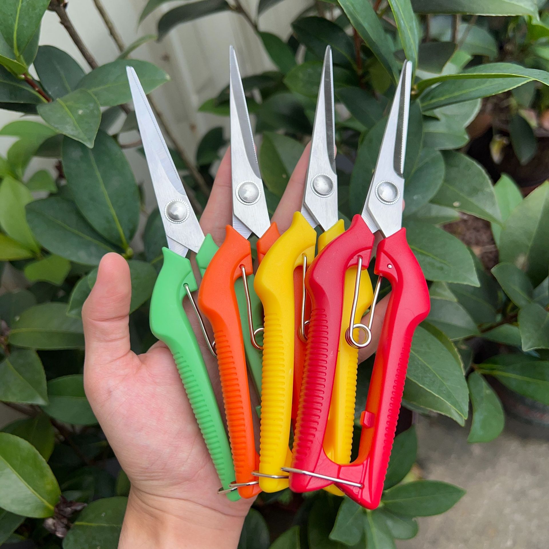 Wholesale stainless steel fruit picking scissors thin fruit scissors pruning scissors picking grape scissors pepper scissors bonsai tools fruit and vegetable scissors