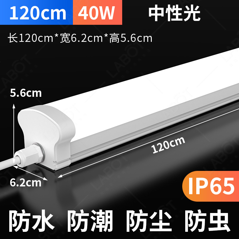 Picture of IP65 outdoor waterproof and moisture-proof workshop cold storage bathroom ceiling lighting purification tube LED three-proof lamp strip lamp