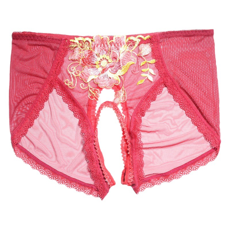 New Sexy Embroidered Open Crotch Panties Women's Full Transparent Mesh Perspective Split Free Passion Temptation Sexy Underwear