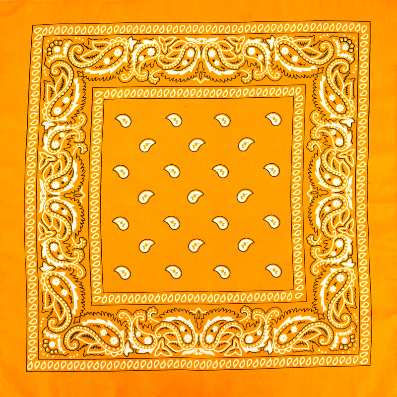 Picture of Factory direct supply in stock polyester square paisley scarf wholesale hip hop hip hop riding cashew flower scarf