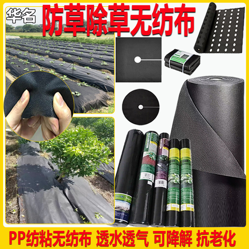 Weed Control Cloth Wholesale Black Pp Anti-Aging Weed Control Cloth Breathable and Water-Permeable Ground Cloth Orchard Agricultural Non-Woven Fabric