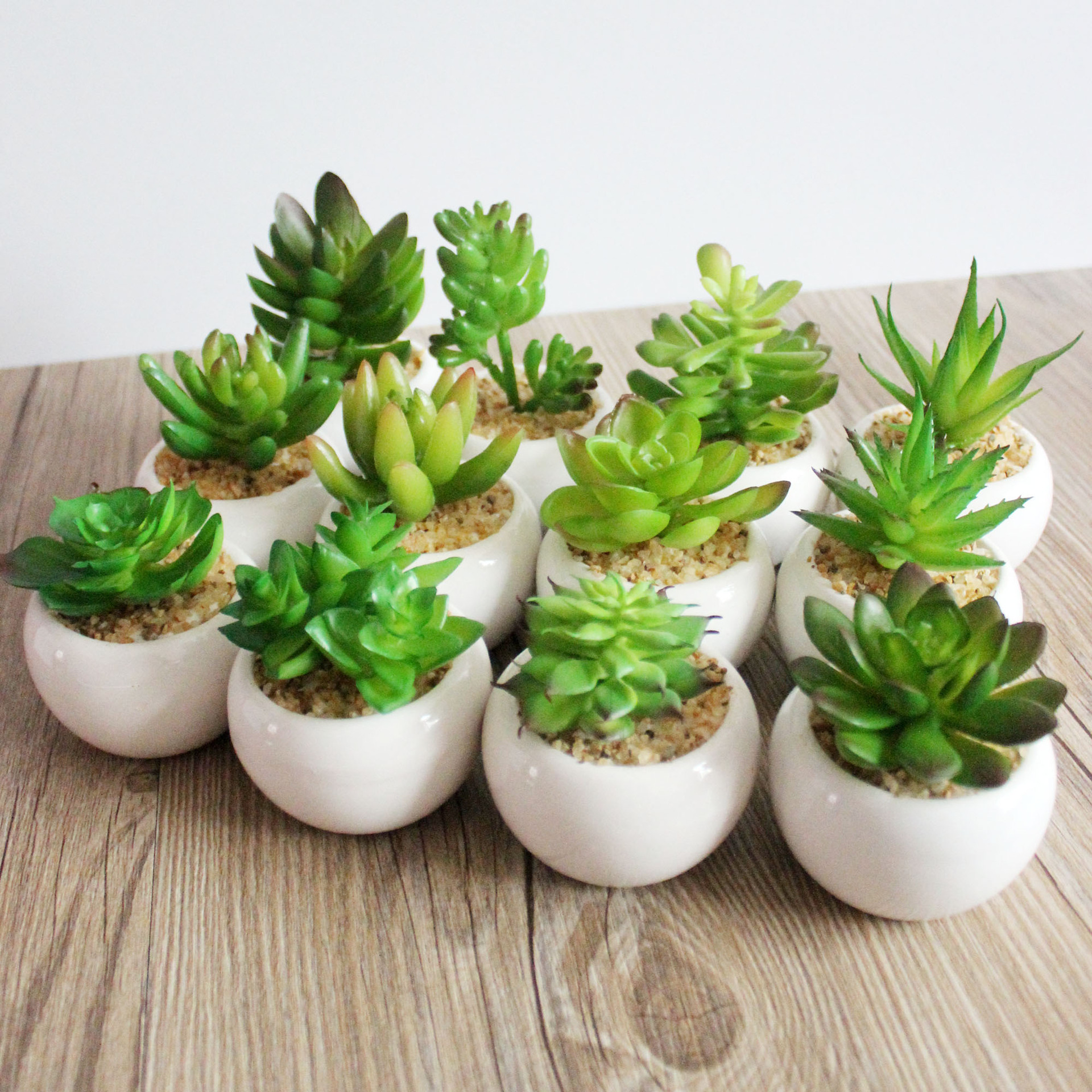 Mini succulent potted plants creative ornaments decorative succulent Jinhua manufacturers wholesale plastic flowers a generation of green