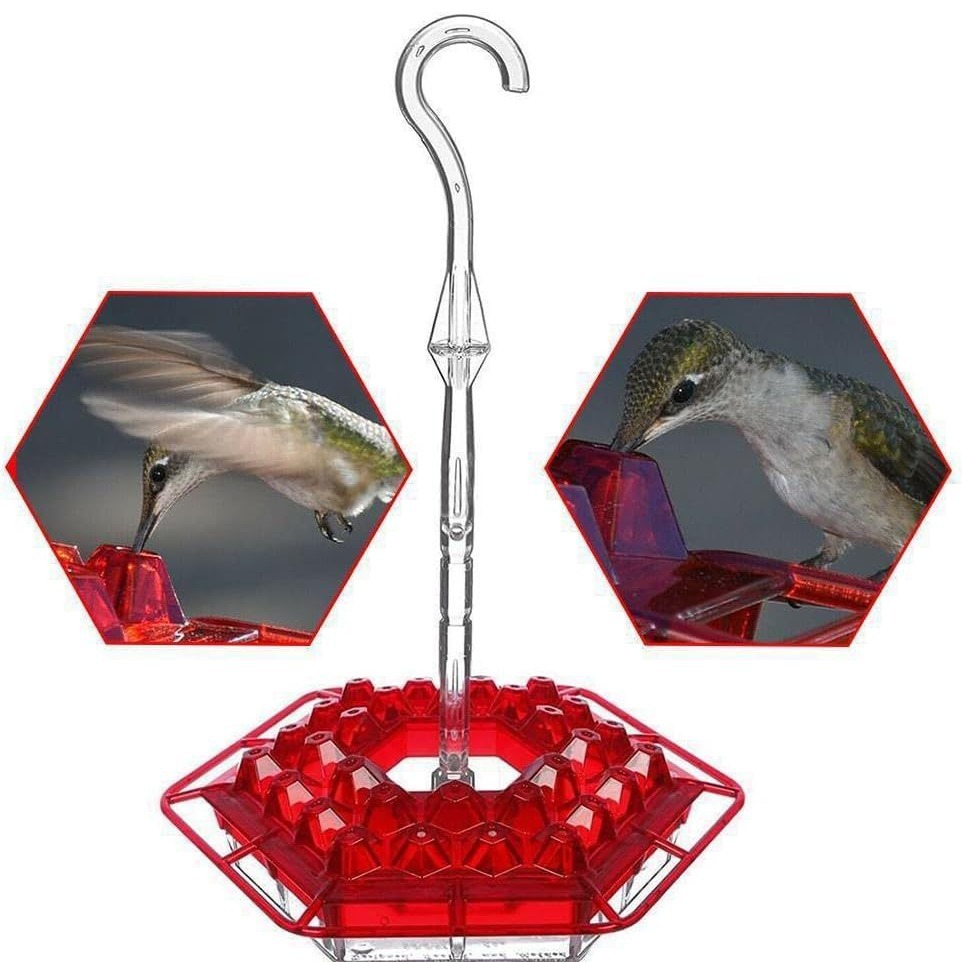 Picture of hummingbird feeder for outdoor, plastic hummingbird feeder-anti-ants and bees