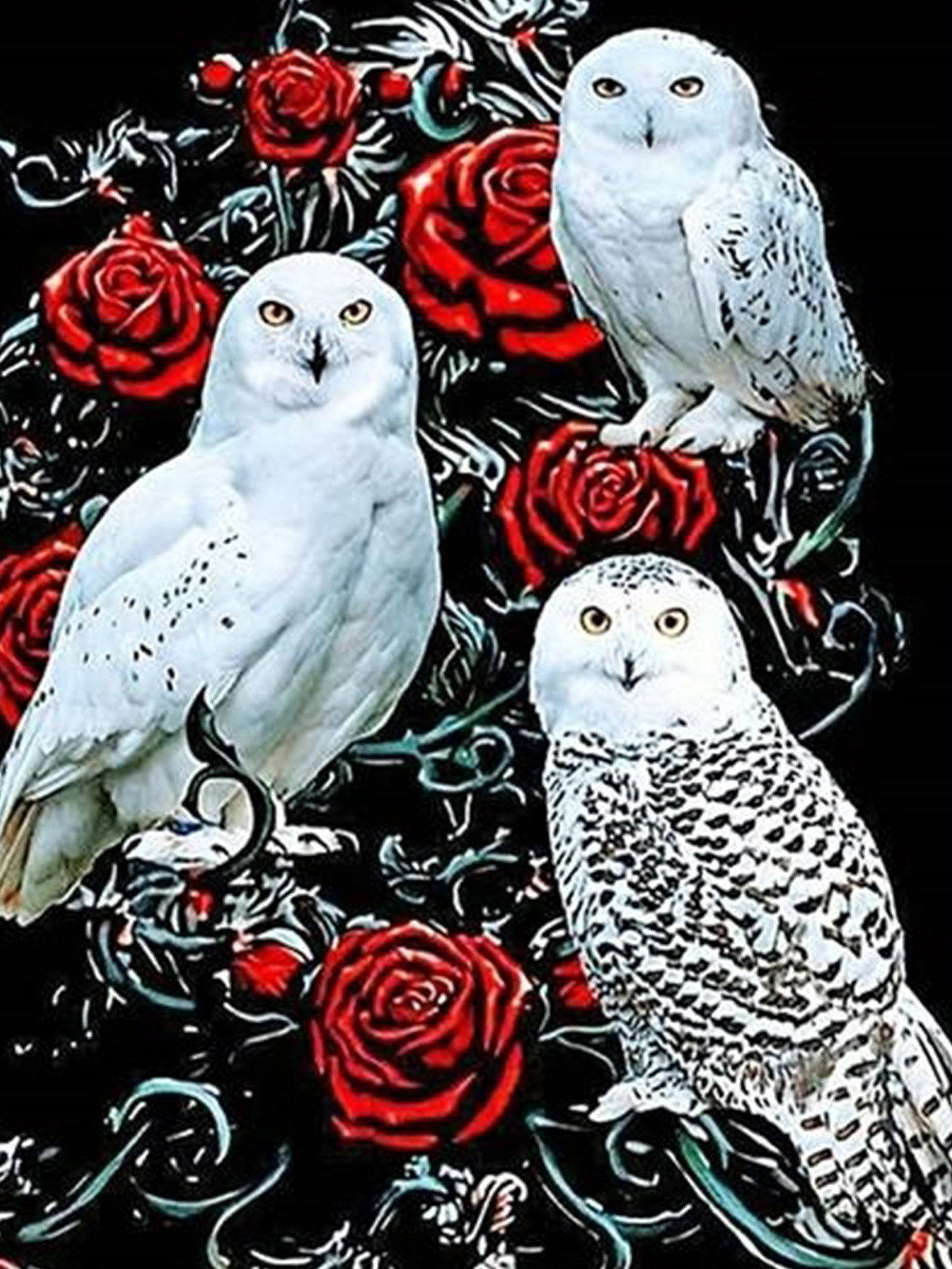 Picture of 5d full diamond diy animal landscape diamond painting foreign trade cross-border diamond embroidered full diamond rubik's cube round diamond craft decorative painting