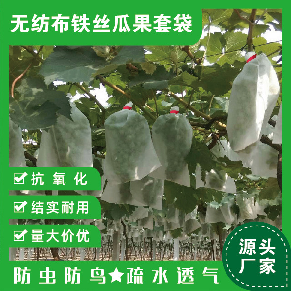 Non-woven Grape Bag Insect-proof Bird-proof Rain-proof Fruit Special Bag Open-air Melon and Fruit Breathable Transparent Protective Bag