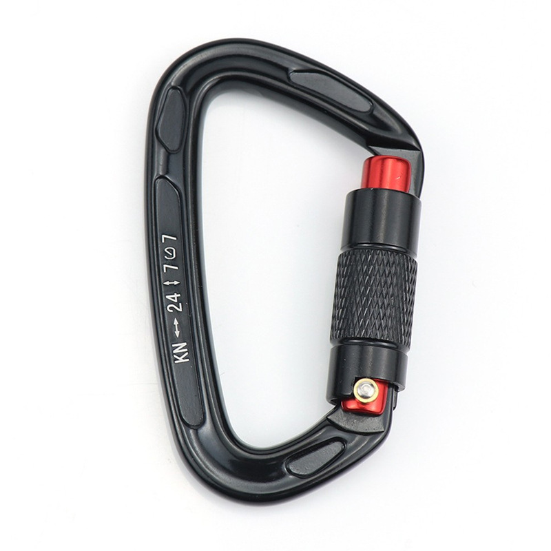 Picture of D-type automatic main lock 25KN aviation aluminum alloy D-type mountaineering buckle outdoor mountaineering automatic buckle rock climbing quick hanging hand lock