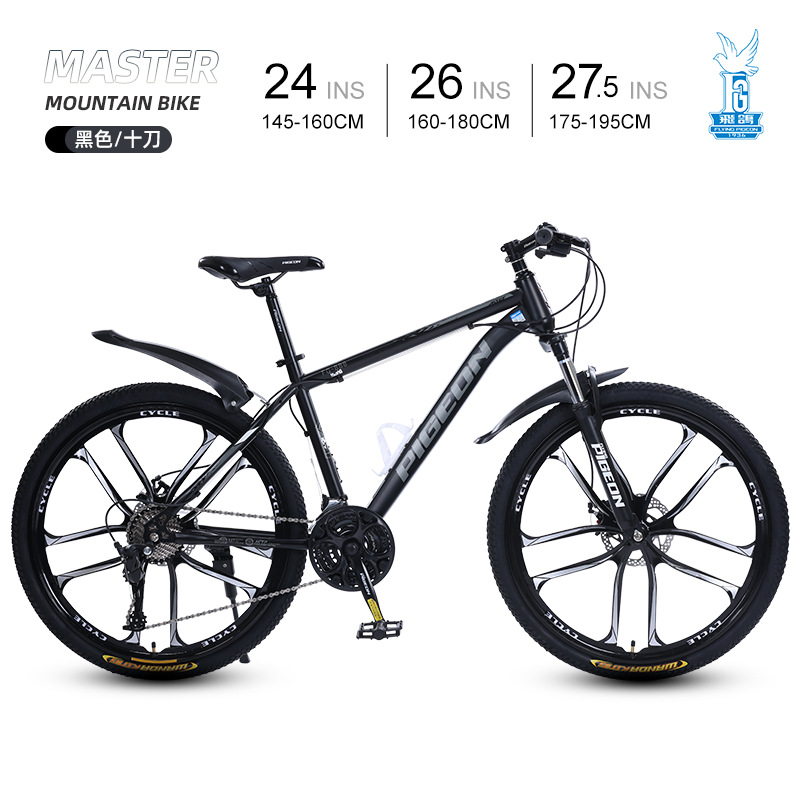Picture of Flying Pigeon Bike Men's Cross-country Variable Speed Mountain Bike 24 Inch Outdoor Sports Cycling Road Bike