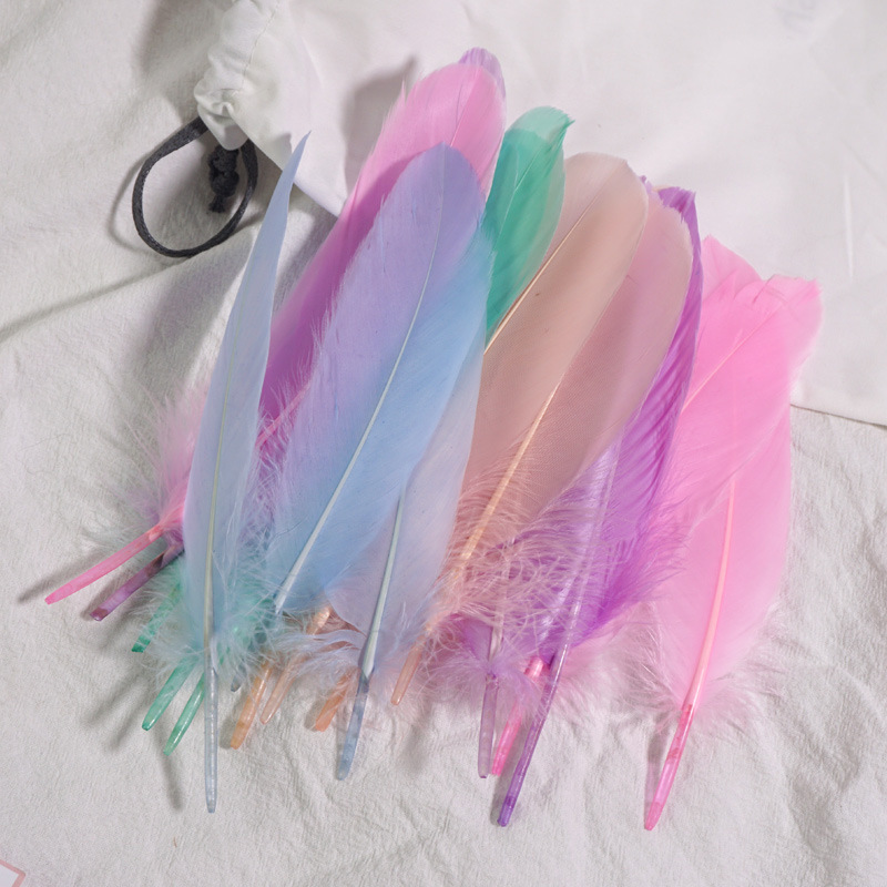 Picture of Feather color goose feather hard big floating dream catcher sunflower kindergarten handmade art class material wings decoration