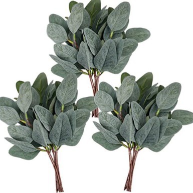 Picture of Eucalyptus leaves eucalyptus leaves simulation single simulation green plant christinae multicolor Frost White Frost eucalyptus