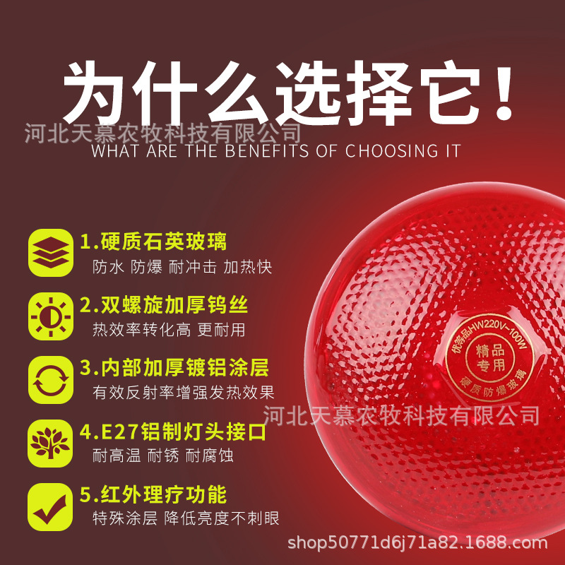 Picture of Pig, Cattle and Sheep Insulation Lamp, Breeding Heating Lamp, Chicken Baking Lamp, Insulation Bulb, Pig Heating Bulb, Pig Farm