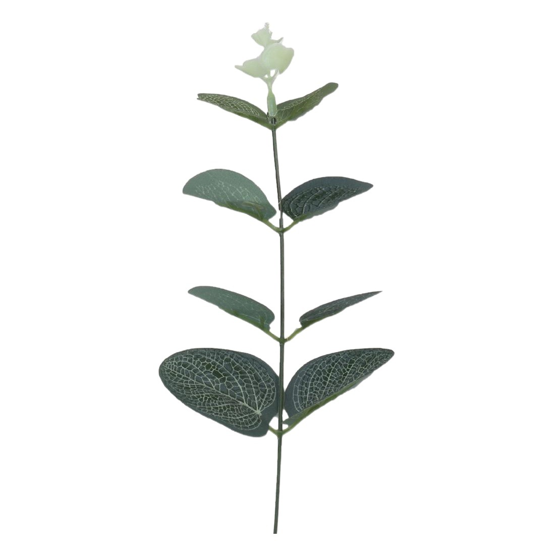 Simulation single eucalyptus DIY plant green plant partition decoration potted flower arrangement leaf green leaf money leaf wedding