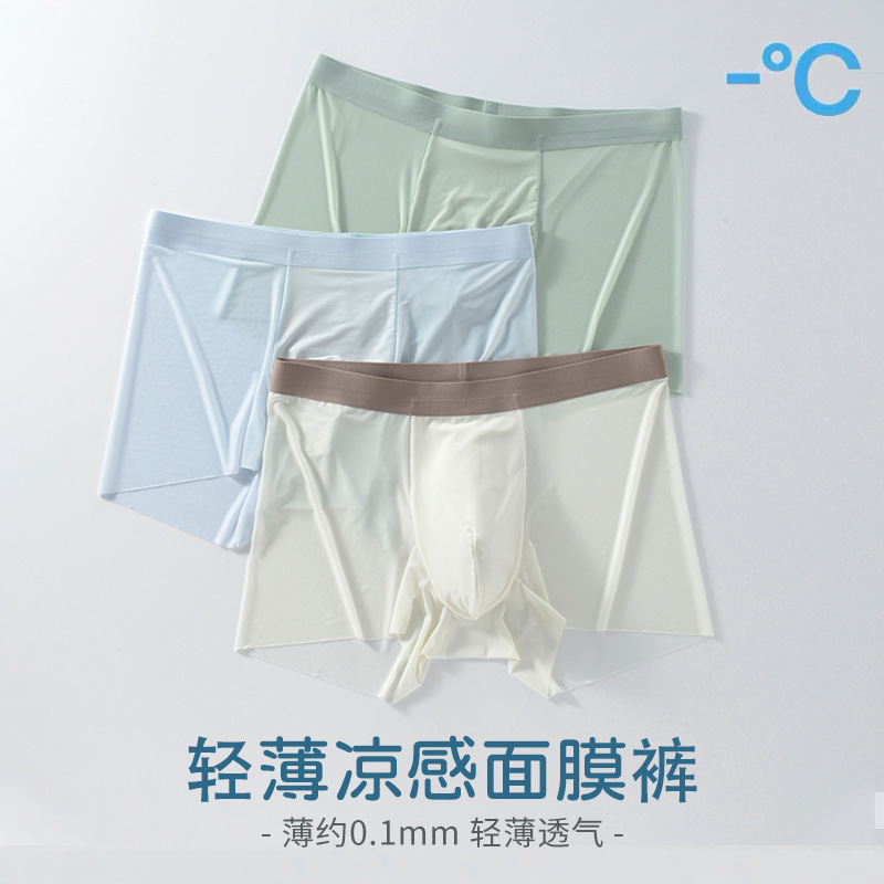 Picture of 2025 New Summer Ice Silk Underwear Men's Ultra-Thin Seamless Men's Underwear Ice Silk Large Size Boxer Briefs Men's Wholesale