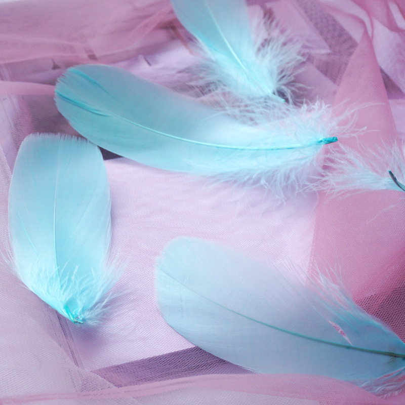 Picture of Macaron color feather decoration goose feather large and medium floating dream catcher gift box filled bouquet diy handmade material