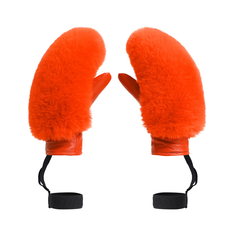 Picture of Winter new ski gloves women windproof cold warm fleece-lined cross-border trade plush ski gloves ladies