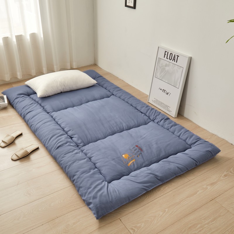 Picture of Thickened student dormitory mattress mat removable and washable tatami floor warm cushion school single factory wholesale