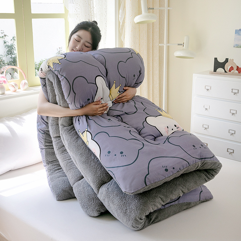 Picture of Cross-border Lamb Velvet Sanding Printed Winter Quilt Spring and Autumn Thickened Quilt Core Single Double Student Dormitory Air-conditioning Quilt