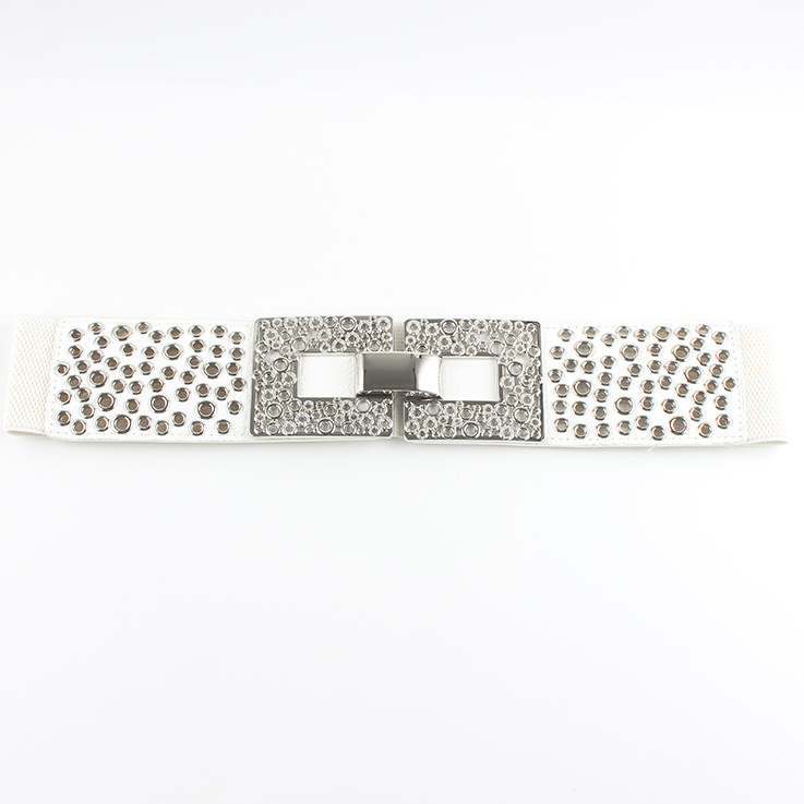 Picture of European and American simple all-match women's elastic belt waist seal princess dress decorative belt elastic Korean fashion women's belt