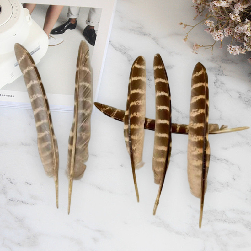 Picture of A large number of manufacturers in stock supply mother mountain chicken nest feather DIY bagging feathers Amazon for real feathers