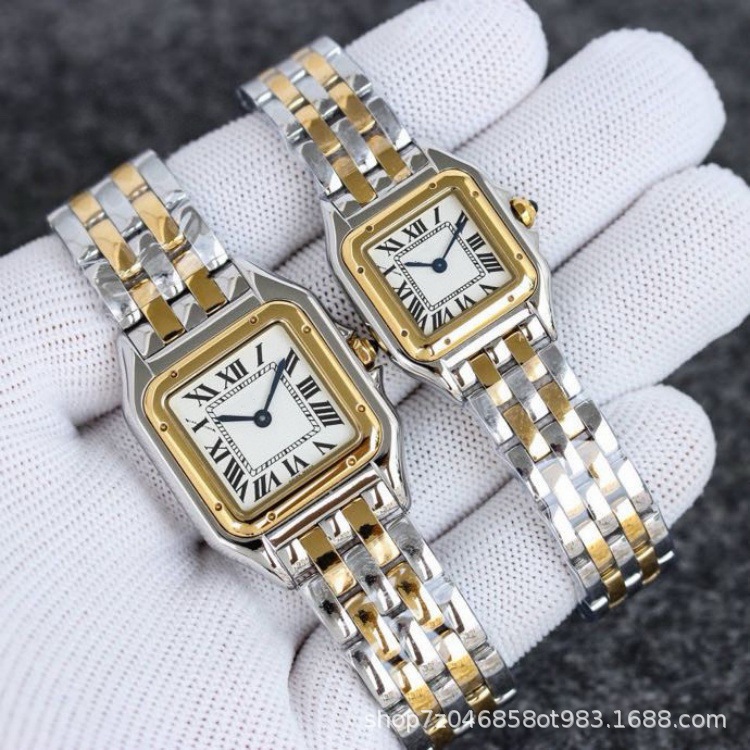 Cross-Border Cheetah Classic Series Stainless Steel Small Square Watch Fashion Simple Roman Face Quartz Women's Watch Factory Wholesale Foreign Trade