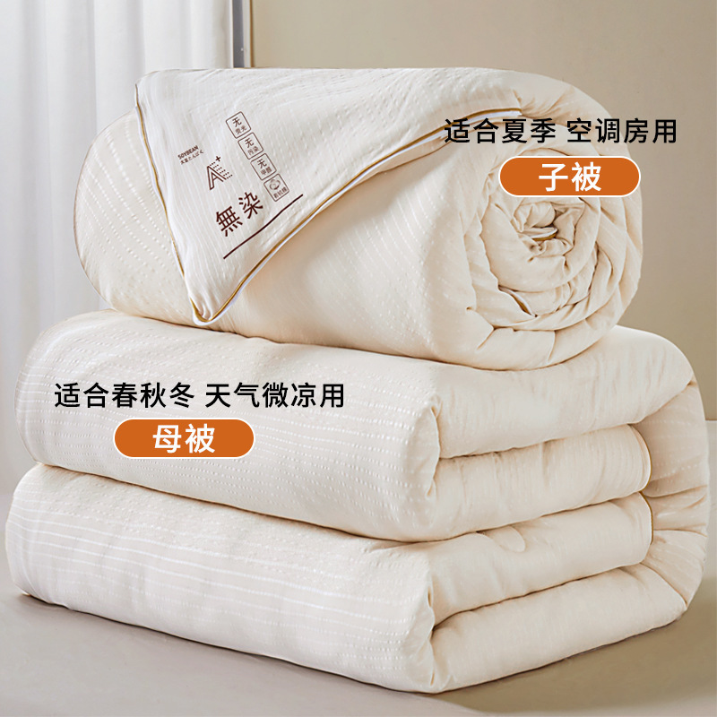 Picture of Quilt winter quilt thickened warm quilt soybean fiber quilt two-in-one zipper twin letter quilt core