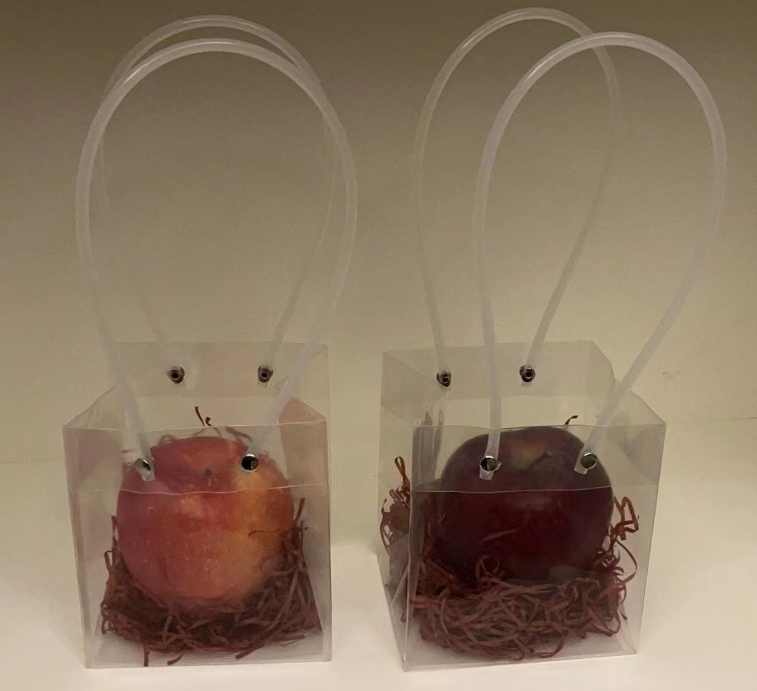 Christmas Eve Apple Transparent PP Floral Shop Floral Waterproof Packaging Square Accompanying Gift Flower arrangement pp Handbag