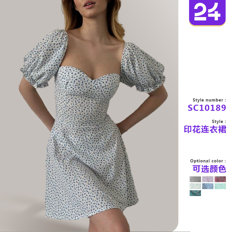Picture of 2025 spring and summer clothing European and American Amazon foreign trade women's lace-up retro floral high waist bubble sleeve French dress