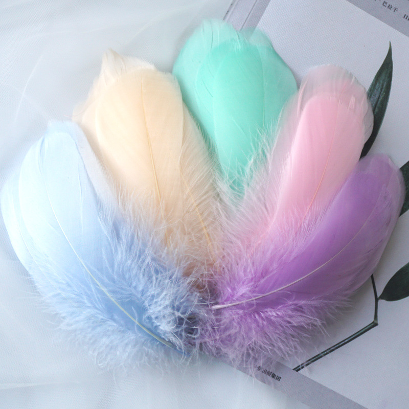 Picture of Macaron color feather decoration goose feather large and medium floating dream catcher gift box filled bouquet diy handmade material