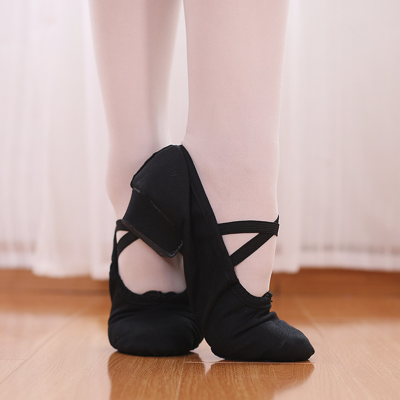 Picture of Dance Shoelaces with Soft Sole Canvas Teacher Shoes Belly Dance Shoes Body Etiquette Training Shoes Adult Ballet Shoes Cross Border