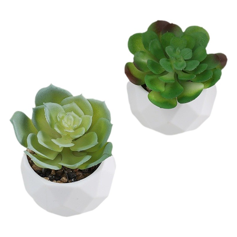 Simulated Succulent Set Green Plants Small Bonsai Cross-Border Artificial Flowers Home Decoration Desktop Ornaments Plastic Plants Artificial Flowers