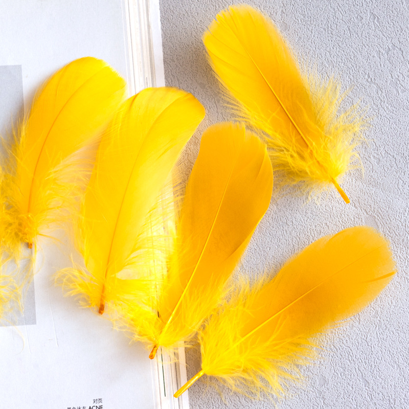Picture of Macaron color feather decoration goose feather large and medium floating dream catcher gift box filled bouquet diy handmade material