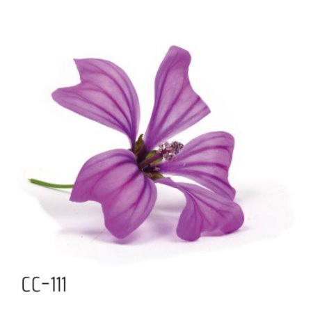 Picture of New waterproof flower tattoo stickers fashion small fresh face stickers fashion Photo Studio Art Stickers