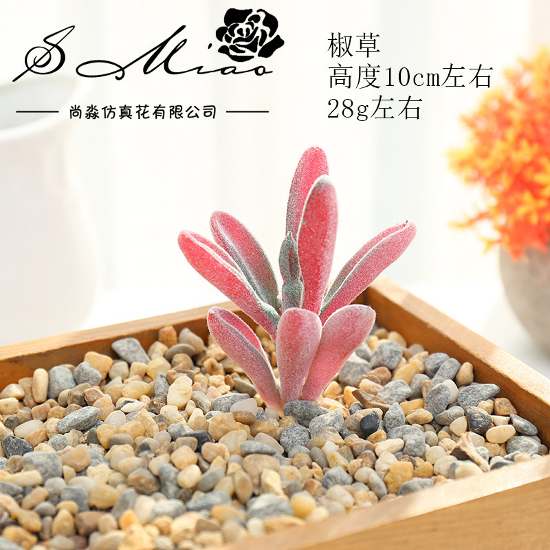 Picture of 006 Flocked Red Series Succulents Creative DIY Supplies Accessories Factory Direct Supply Wholesale Artificial Green