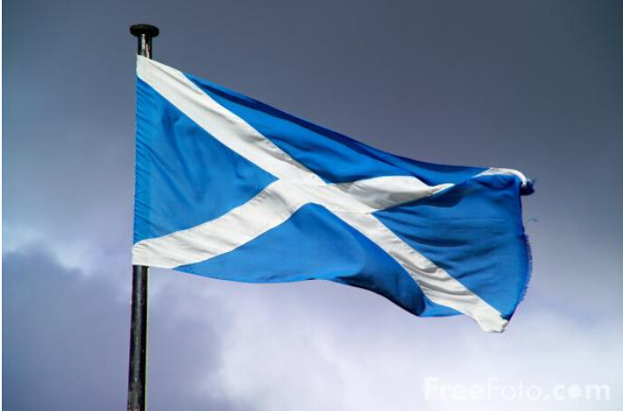 In stock supply small wholesale 90 * 150cm Scottish flag No. 4 polyester flag