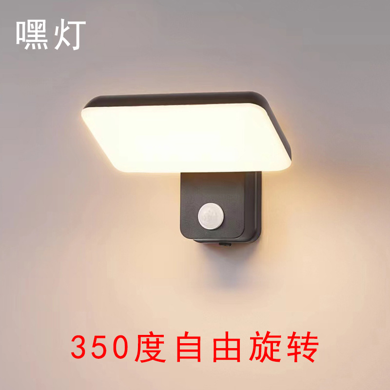 Outdoor Waterproof Wall Lamp Rotary Adjusting Light-emitting Human Body Induction Lamp Modern Simple Balcony Entry Door Head Staircase Lamp
