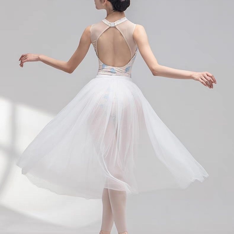 Ballet Dancing Skirt Practice Performance Veil Skirt Chinese Dance Art Test Body Skirt Adult Double-Layer Mesh Long Skirt