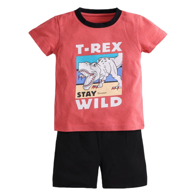Summer Kidsren's Short-Sleeved Suit Boys' Pure Cotton Short Two-Piece Baby Cartoon T-Shirt Shorts Korean Style Kidsren's Clothing