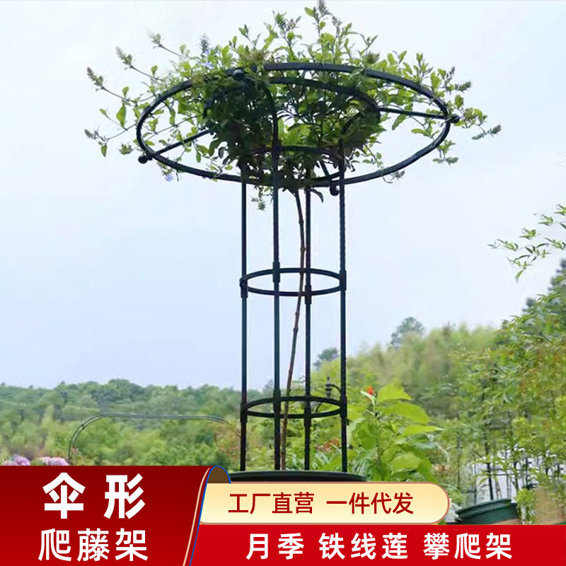 Umbrella Flower Stand Rose Climbing Pergola Clematis Wrought Iron Bracket Balcony Shelf Courtyard Outdoor Rose Climbing Frame