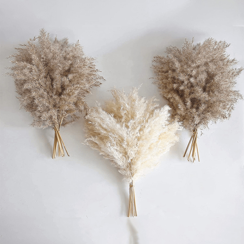 Picture of Cross-border Hot Sale Bohemian Style Decoration Fluffy Pampas Grass Natural Pampas Decorative Dried Flower bouquet