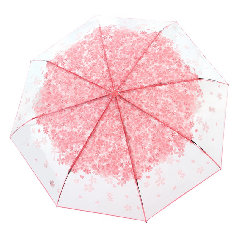 Korean Style Umbrella Folding Cute Cute Goddess Korean Style Fresh Style Simple Mori Style 30% Japanese Cherry Blossom Transparent Umbrella