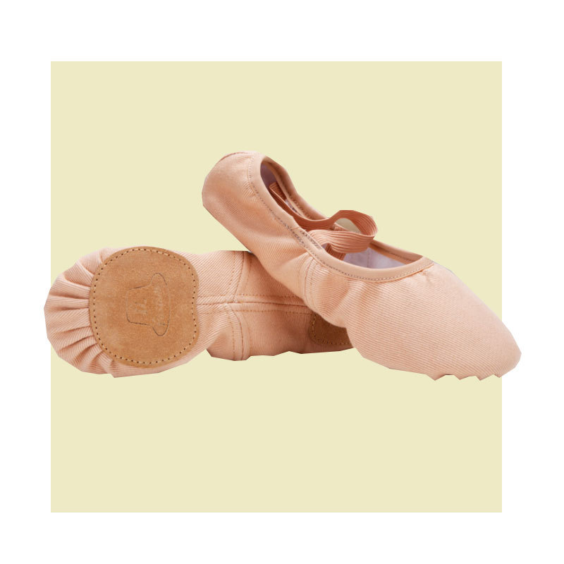High Stretch Dance Shoes Fabric Thickened Wear-resistant Soft Sole Women's Practice Shoes Cat Claw Shoes Ballet Shoes Fabric