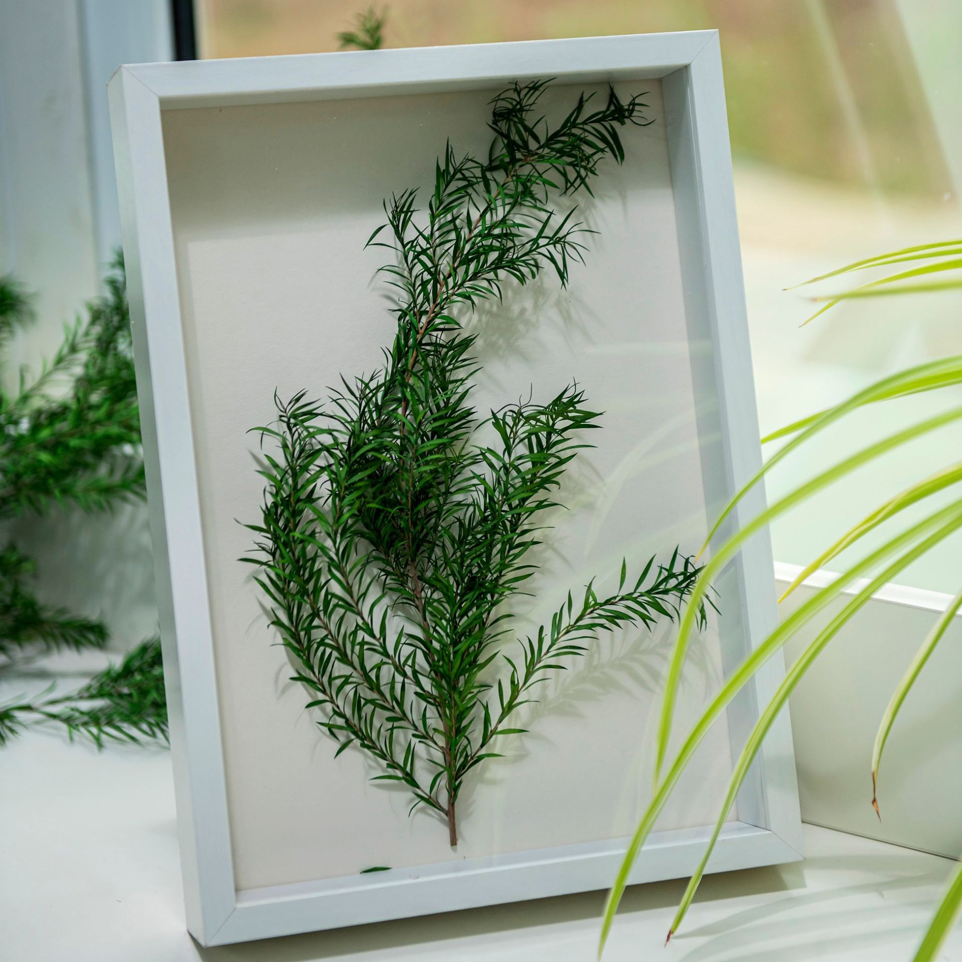 Picture of Hollow Picture Frame Dried Flower Photo Frame Empty Frame Handmade Roses Immortal Flower Specimen 6 Inches 7 Inches 8inch 10inch A4A3 Phase
