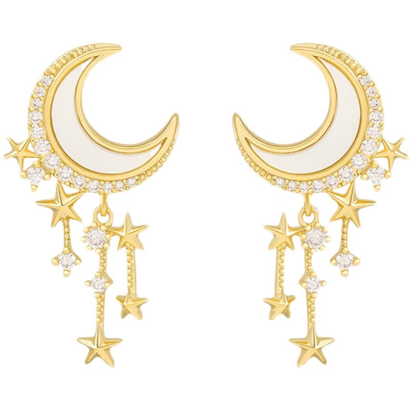 Earrings for Women 2021 New Fashionable Japanese and Korean Style Fresh 925 Silver Needle Elegant Internet Celebrity Fashionable Distinctive Earrings Ear Jewelry