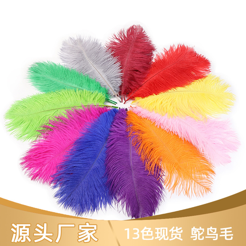 Supply 25-30cm Colorfulful Ostrich Feather Clothing Stage Props Ostrich Feather Wholesale Multi-Colorful Dyeable