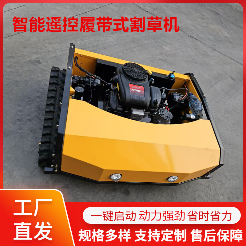 Export Malaysia Automatic Remote Control Lawn Mower 4 Stroke Crawler Lawn Mower Small Home Lawn Mower