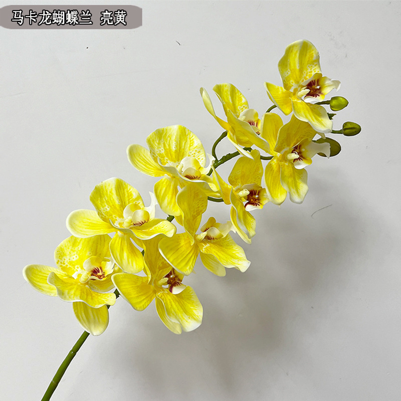 Picture of New hand-feeling film phalaenopsis 9-head big orchid macaron phalaenopsis multi-color beautiful bright drape