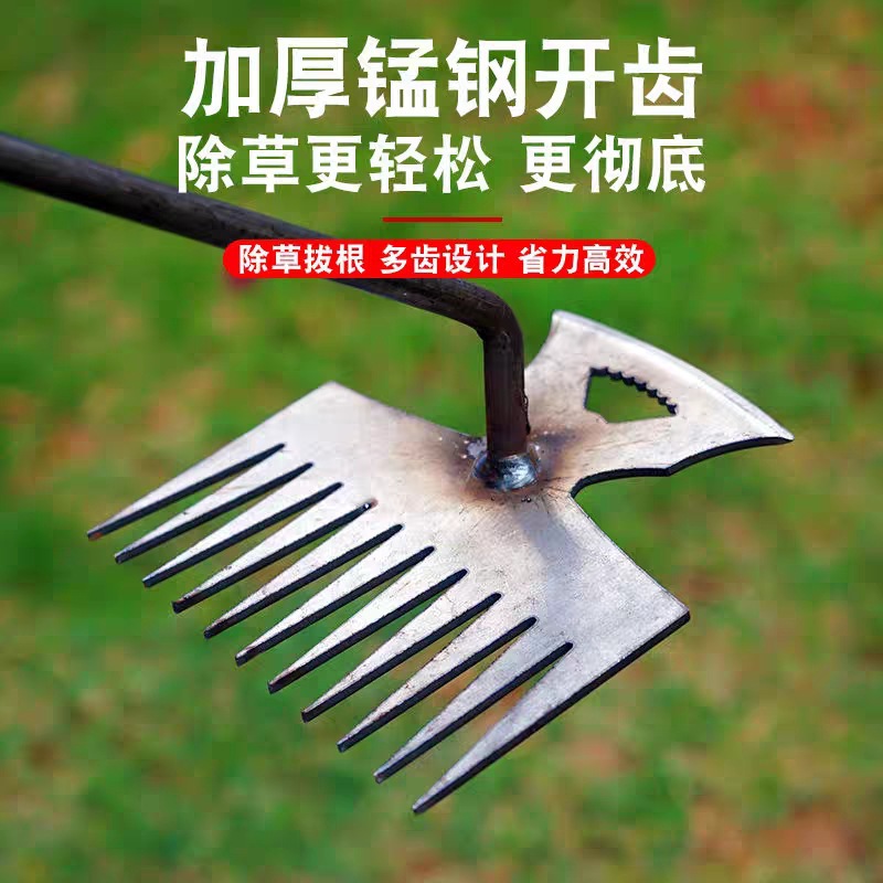 Weeding Tool for Digging Wild Vegetables, Small Weeding Hoe with Double Heads for Root Removal, Handheld Small Rake for Grass and Hoe